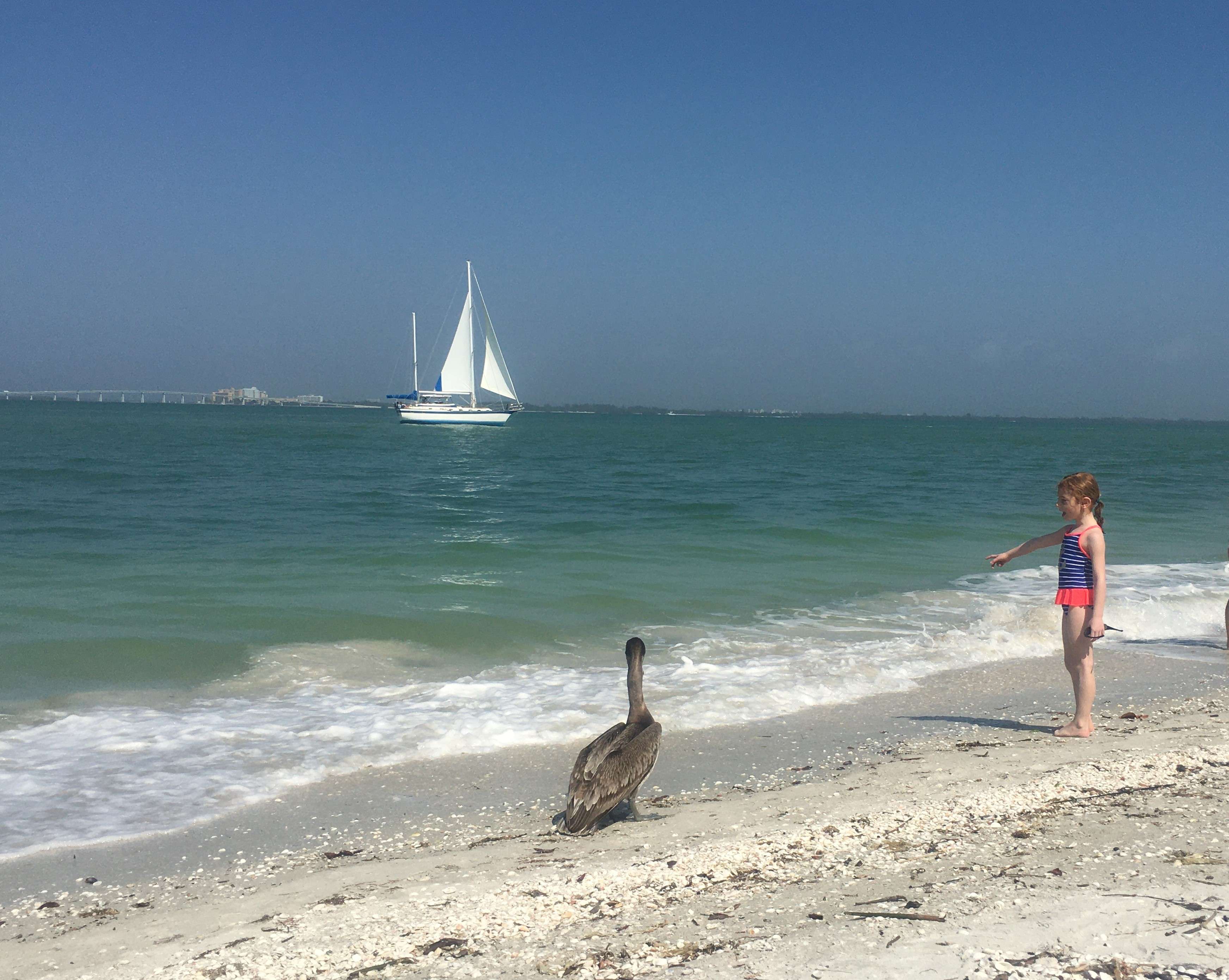 A pelican and a girl